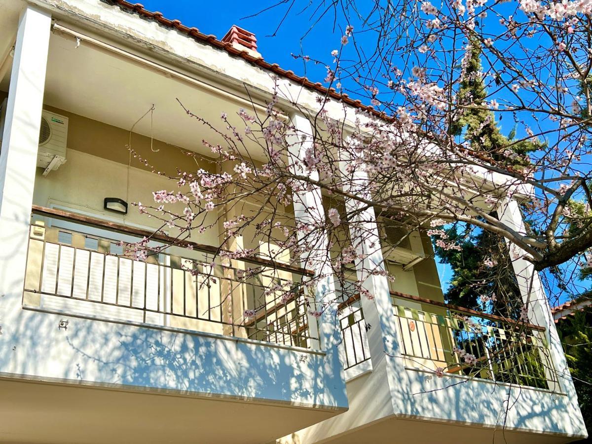 Nikiti Beach Houses Buitenkant foto